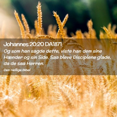 Picture 02 - Johannes 20:20 DA1871 - Og som han sagde dette, viste han dem sine - Bible Verse Picture