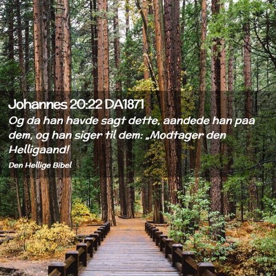 Picture 02 - Johannes 20:22 DA1871 - Og da han havde sagt dette, aandede han paa dem, - Bible Verse Picture