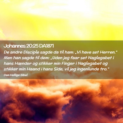Picture 02 - Johannes 20:25 DA1871 - De andre Disciple sagde da til ham: „Vi have - Bible Verse Picture