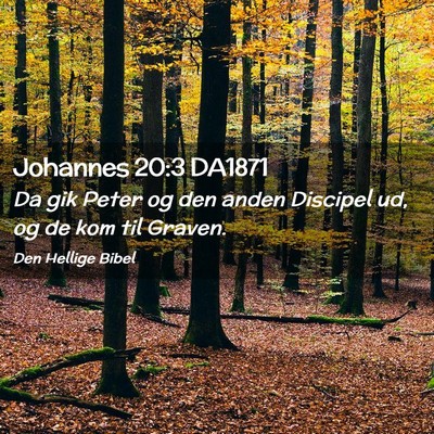 Picture 02 - Johannes 20:3 DA1871 - Da gik Peter og den anden Discipel ud, og de kom - Bible Verse Picture