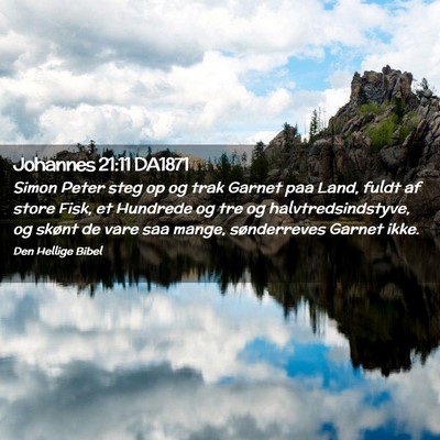 Picture 02 - Johannes 21:11 DA1871 - Simon Peter steg op og trak Garnet paa Land, - Bible Verse Picture