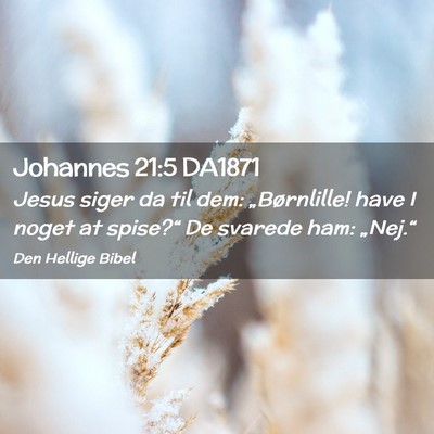 Picture 02 - Johannes 21:5 DA1871 - Jesus siger da til dem: „Børnlille! have I - Bible Verse Picture