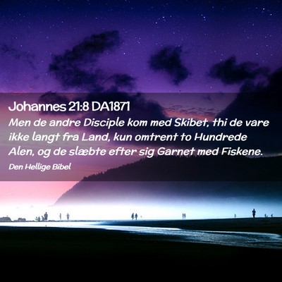 Picture 02 - Johannes 21:8 DA1871 - Men de andre Disciple kom med Skibet, thi de vare - Bible Verse Picture
