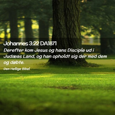 Picture 02 - Johannes 3:22 DA1871 - Derefter kom Jesus og hans Disciple ud i Judæas - Bible Verse Picture