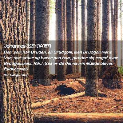 Picture 02 - Johannes 3:29 DA1871 - Den, som har Bruden, er Brudgom; men Brudgommens - Bible Verse Picture