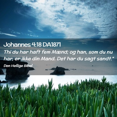 Picture 02 - Johannes 4:18 DA1871 - Thi du har haft fem Mænd; og han, som du nu har, - Bible Verse Picture