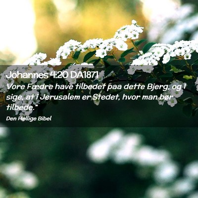 Picture 02 - Johannes 4:20 DA1871 - Vore Fædre have tilbedet paa dette Bjerg, og I - Bible Verse Picture