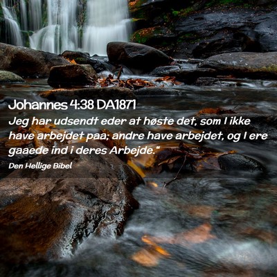 Picture 02 - Johannes 4:38 DA1871 - Jeg har udsendt eder at høste det, som I ikke - Bible Verse Picture