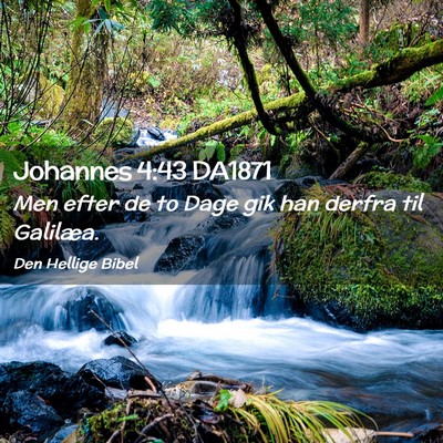 Picture 02 - Johannes 4:43 DA1871 - Men efter de to Dage gik han derfra til - Bible Verse Picture