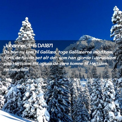 Picture 02 - Johannes 4:45 DA1871 - Da han nu kom til Galilæa, toge Galilæerne imod - Bible Verse Picture