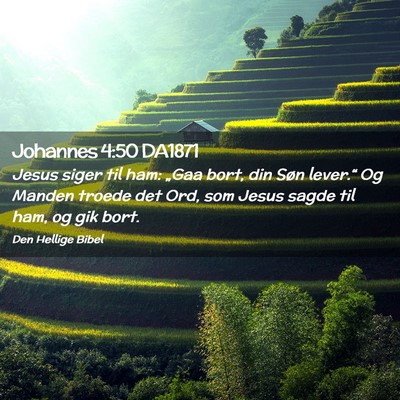 Picture 02 - Johannes 4:50 DA1871 - Jesus siger til ham: „Gaa bort, din Søn - Bible Verse Picture