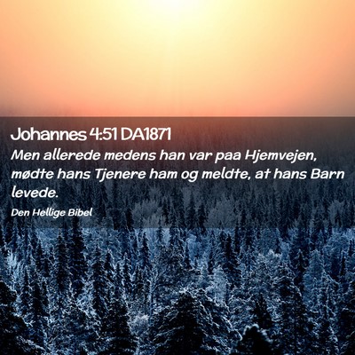 Picture 02 - Johannes 4:51 DA1871 - Men allerede medens han var paa Hjemvejen, mødte - Bible Verse Picture