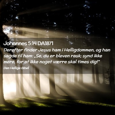 Picture 02 - Johannes 5:14 DA1871 - Derefter finder Jesus ham i Helligdommen, og han - Bible Verse Picture