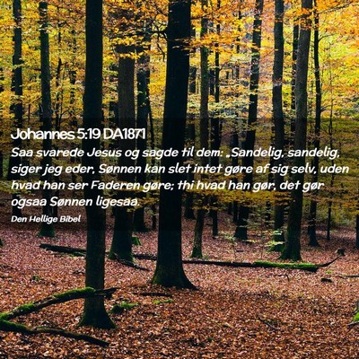 Picture 02 - Johannes 5:19 DA1871 - Saa svarede Jesus og sagde til dem: „Sandelig, - Bible Verse Picture