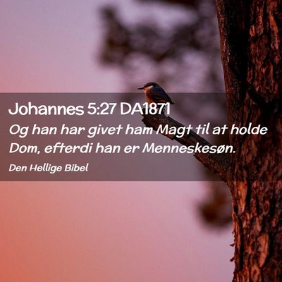 Picture 02 - Johannes 5:27 DA1871 - Og han har givet ham Magt til at holde Dom, - Bible Verse Picture