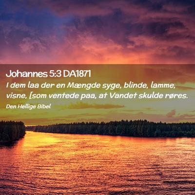 Picture 02 - Johannes 5:3 DA1871 - I dem laa der en Mængde syge, blinde, lamme, - Bible Verse Picture