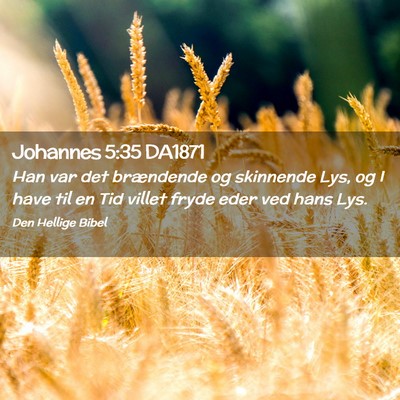 Picture 02 - Johannes 5:35 DA1871 - Han var det brændende og skinnende Lys, og I - Bible Verse Picture