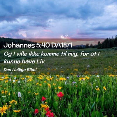 Picture 02 - Johannes 5:40 DA1871 - Og I ville ikke komme til mig, for at I kunne - Bible Verse Picture