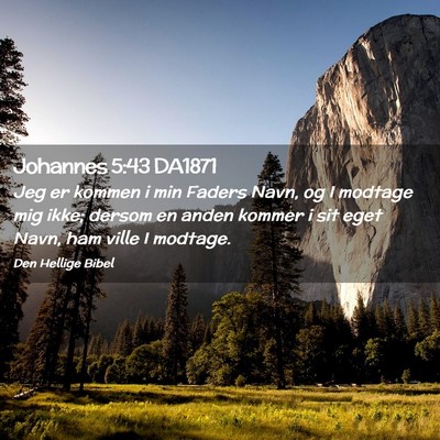 Picture 02 - Johannes 5:43 DA1871 - Jeg er kommen i min Faders Navn, og I modtage mig - Bible Verse Picture