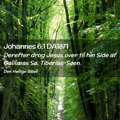 Picture 02 - Johannes 6:1 DA1871 - Derefter drog Jesus over til hin Side af - Bible Verse Picture