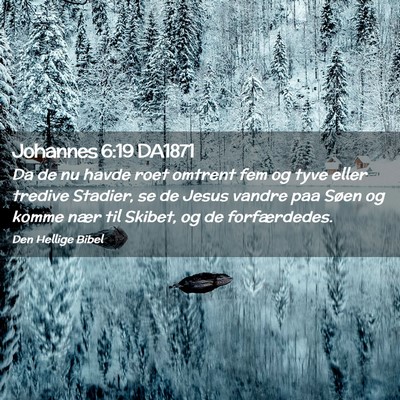 Picture 02 - Johannes 6:19 DA1871 - Da de nu havde roet omtrent fem og tyve eller - Bible Verse Picture