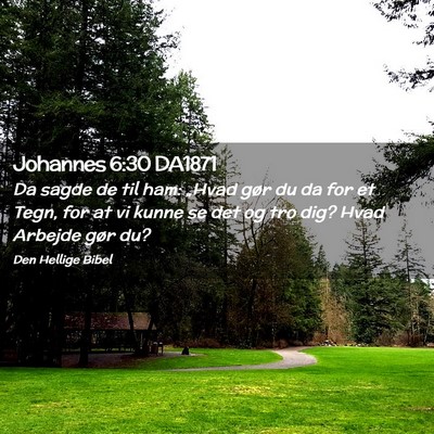 Picture 02 - Johannes 6:30 DA1871 - Da sagde de til ham: „Hvad gør du da for et - Bible Verse Picture
