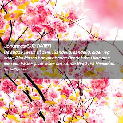 Picture 02 - Johannes 6:32 DA1871 - Da sagde Jesus til dem: „Sandelig, sandelig, - Bible Verse Picture