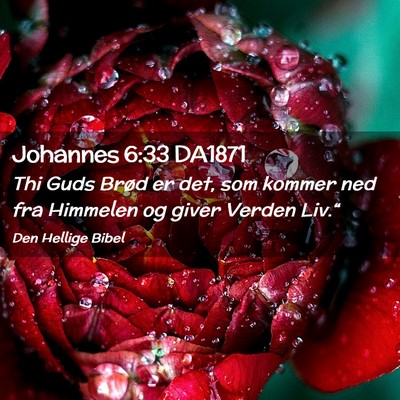 Picture 02 - Johannes 6:33 DA1871 - Thi Guds Brød er det, som kommer ned fra - Bible Verse Picture