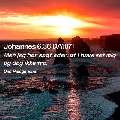 Picture 02 - Johannes 6:36 DA1871 - Men jeg har sagt eder, at I have set mig og dog - Bible Verse Picture