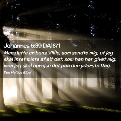 Picture 02 - Johannes 6:39 DA1871 - Men dette er hans Villie, som sendte mig, at jeg - Bible Verse Picture