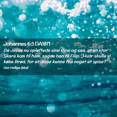 Picture 02 - Johannes 6:5 DA1871 - Da Jesus nu opløftede sine Øjne og saa, at en - Bible Verse Picture