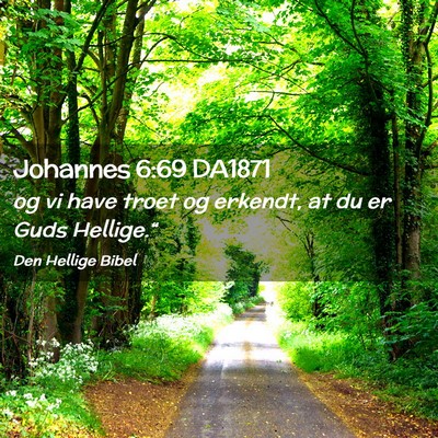 Picture 02 - Johannes 6:69 DA1871 - og vi have troet og erkendt, at du er Guds - Bible Verse Picture