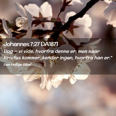 Picture 02 - Johannes 7:27 DA1871 - Dog — vi vide, hvorfra denne er; men naar - Bible Verse Picture