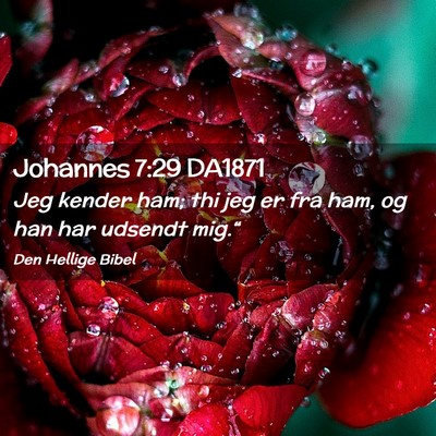 Picture 02 - Johannes 7:29 DA1871 - Jeg kender ham; thi jeg er fra ham, og han har - Bible Verse Picture
