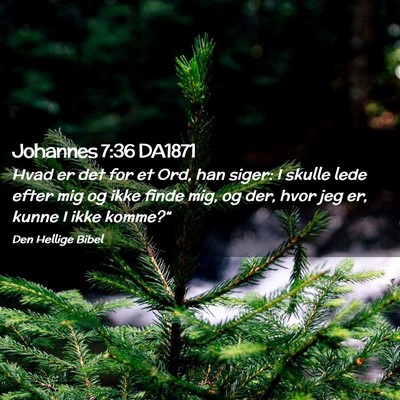 Picture 02 - Johannes 7:36 DA1871 - Hvad er det for et Ord, han siger: I skulle lede - Bible Verse Picture