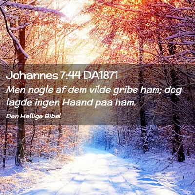 Picture 02 - Johannes 7:44 DA1871 - Men nogle af dem vilde gribe ham; dog lagde ingen - Bible Verse Picture