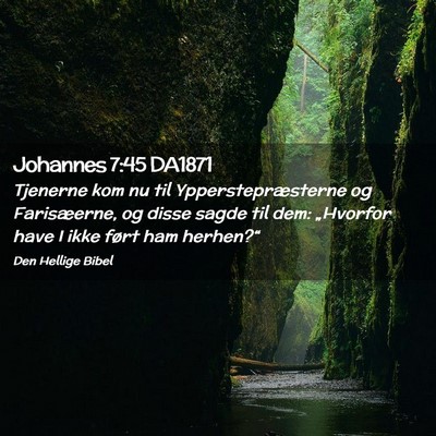 Picture 02 - Johannes 7:45 DA1871 - Tjenerne kom nu til Ypperstepræsterne og - Bible Verse Picture