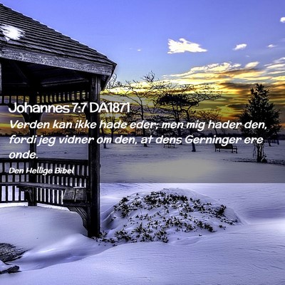Picture 02 - Johannes 7:7 DA1871 - Verden kan ikke hade eder; men mig hader den, - Bible Verse Picture