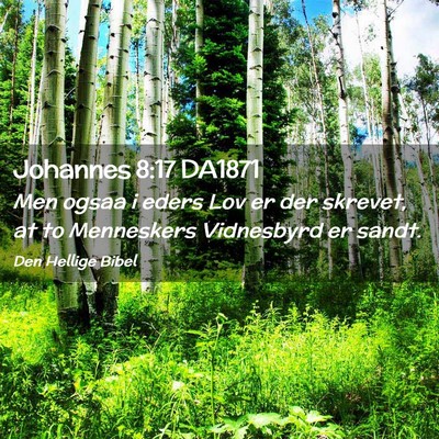 Picture 02 - Johannes 8:17 DA1871 - Men ogsaa i eders Lov er der skrevet, at to - Bible Verse Picture