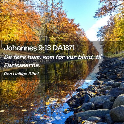 Picture 02 - Johannes 9:13 DA1871 - De føre ham, som før var blind, til - Bible Verse Picture