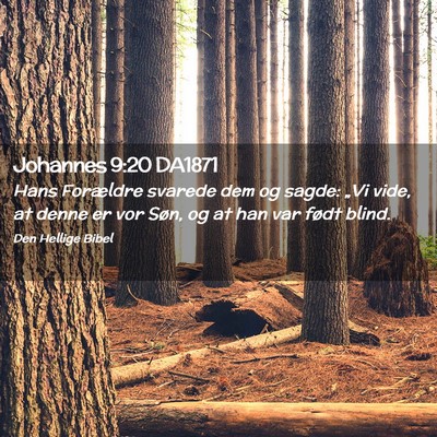 Picture 02 - Johannes 9:20 DA1871 - Hans Forældre svarede dem og sagde: „Vi vide, - Bible Verse Picture