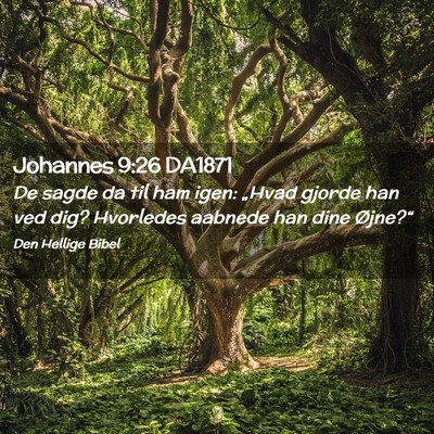 Picture 02 - Johannes 9:26 DA1871 - De sagde da til ham igen: „Hvad gjorde han ved - Bible Verse Picture