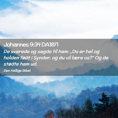 Picture 02 - Johannes 9:34 DA1871 - De svarede og sagde til ham: „Du er hel og - Bible Verse Picture