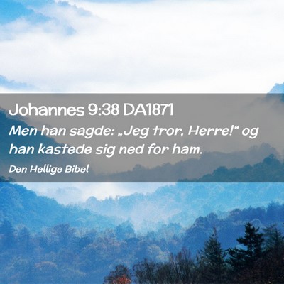 Picture 02 - Johannes 9:38 DA1871 - Men han sagde: „Jeg tror, Herre!“ og han - Bible Verse Picture