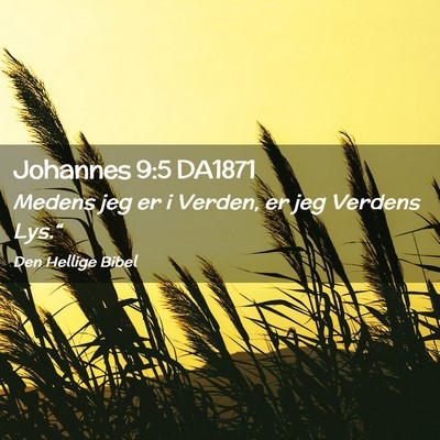 Picture 02 - Johannes 9:5 DA1871 - Medens jeg er i Verden, er jeg Verdens - Bible Verse Picture