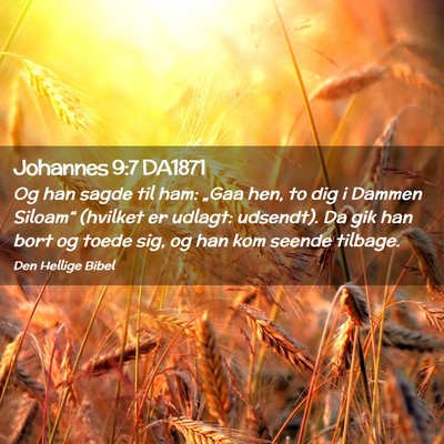 Picture 02 - Johannes 9:7 DA1871 - Og han sagde til ham: „Gaa hen, to dig i Dammen - Bible Verse Picture