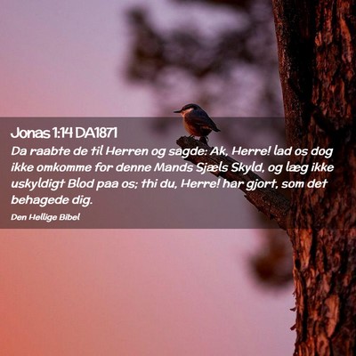 Picture 02 - Jonas 1:14 DA1871 - Da raabte de til Herren og sagde: Ak, Herre! lad - Bible Verse Picture