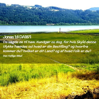 Picture 02 - Jonas 1:8 DA1871 - Da sagde de til ham: Kundgør os dog, for hvis - Bible Verse Picture