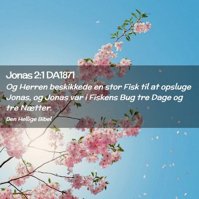Picture 02 - Jonas 2:1 DA1871 - Og Herren beskikkede en stor Fisk til at opsluge - Bible Verse Picture