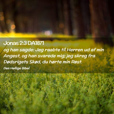 Picture 02 - Jonas 2:3 DA1871 - og han sagde: Jeg raabte til Herren ud af min - Bible Verse Picture